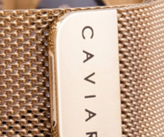 Apple Watch специально для России за 3 млн рублей