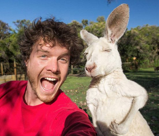 Путешественник делает забавные селфи с дикими животными