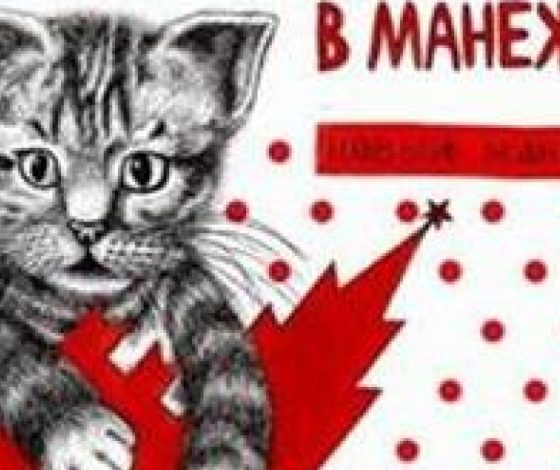 Нашествие котиков в Новом Манеже