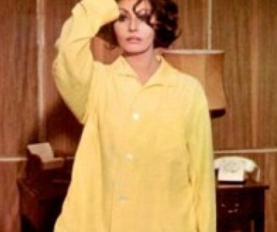 Восемь нарядов для дома