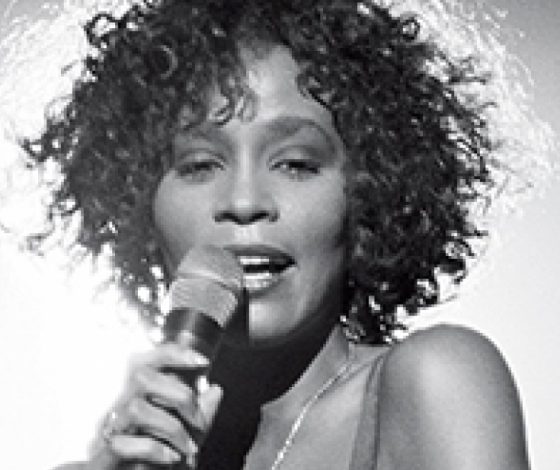 Топ-15 лучших выступлений Уитни Хьюстон