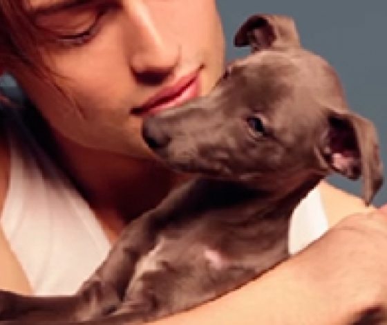 40 секунд нежности от Дугласа Бута