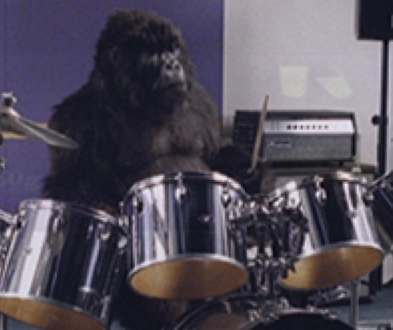 Горилла играет на ударных под мировой хит