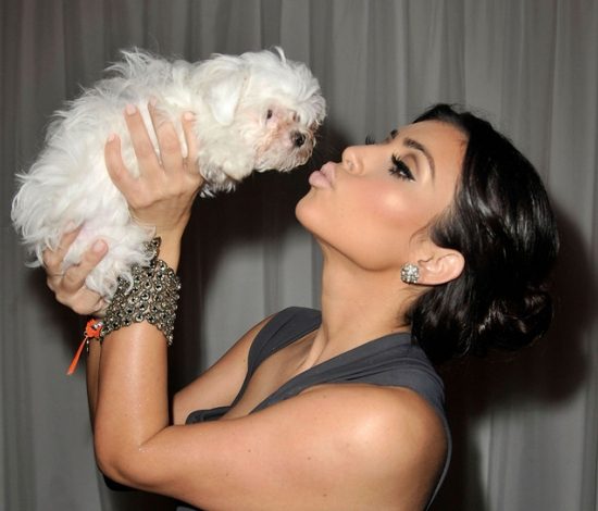 Знаменитости и их любимые собаки