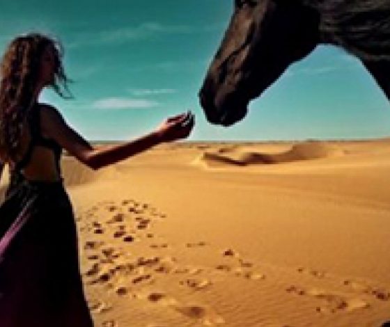 Завораживающее видео о красотах Мексики