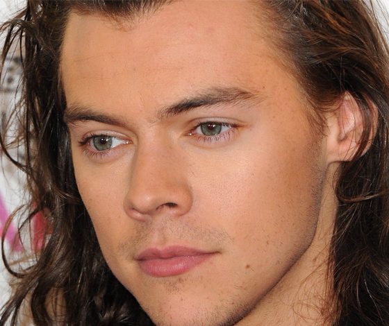 Гарри Стайлс боится появляться в «Семействе Кардашьян»