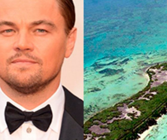 Звезды, у которых есть собственный остров