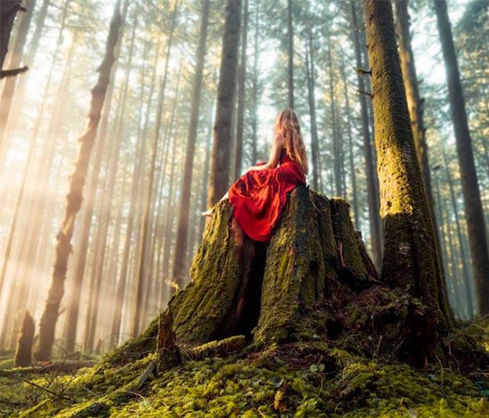 Подпишись: волшебный мир Элизабет Гадд в Instagram