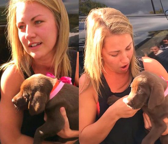 Лучший подарок для девушки: щенок с сюрпризом