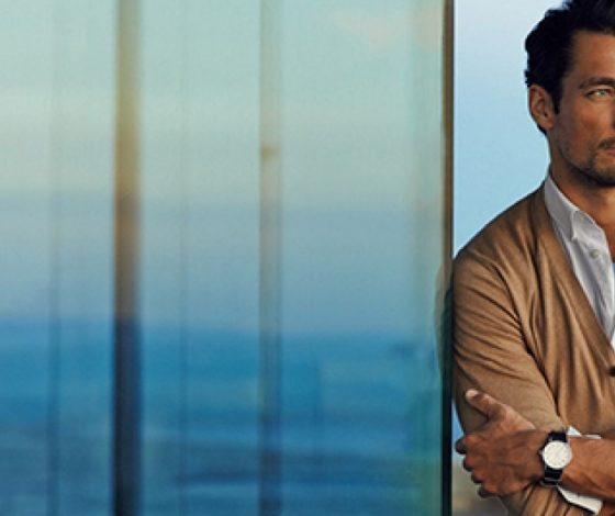 Интересные факты из жизни Дэвида Ганди