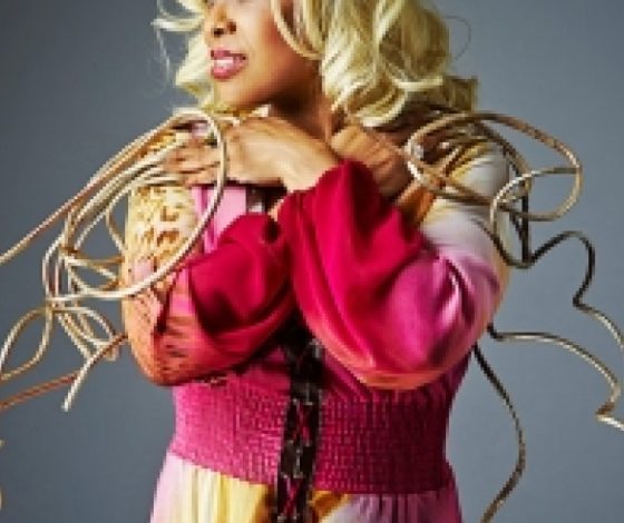 Самые удивительные рекорды Гиннесса 2014