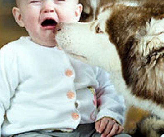 Лучшие сиделки для детей