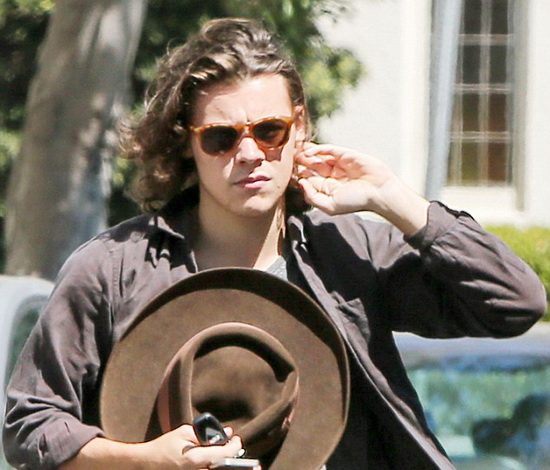 Солист One Direction Гарри Стайлз пожертвует свои волосы