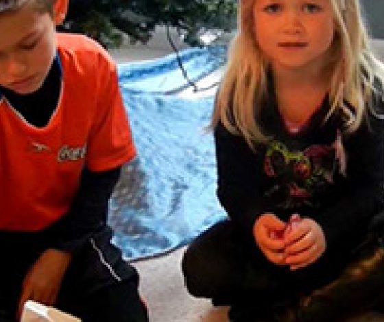 Жестокая шутка родителей