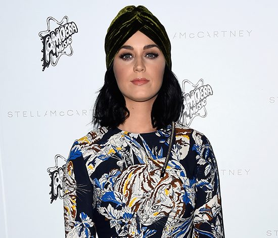 Звезды на презентации Stella McCartney