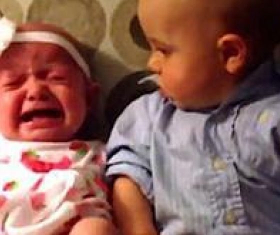 Малыш впервые увидел близнецов