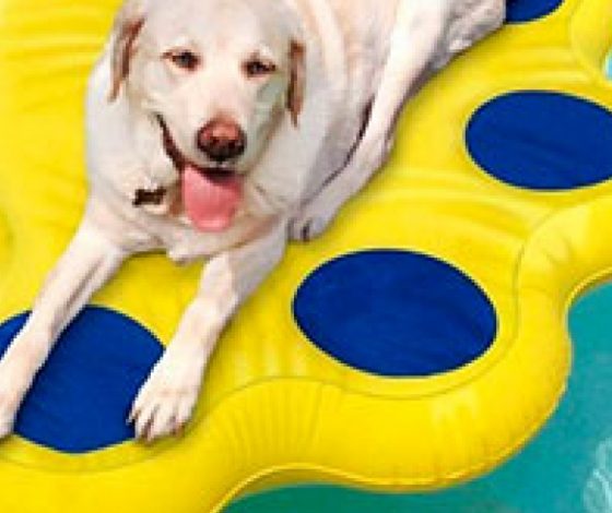 Лучший отдых после тяжелого понедельника