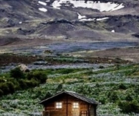 Одинокие дома вдалеке от цивилизации