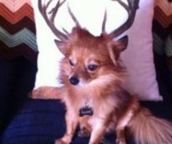 Это не фотошоп. Часть 2