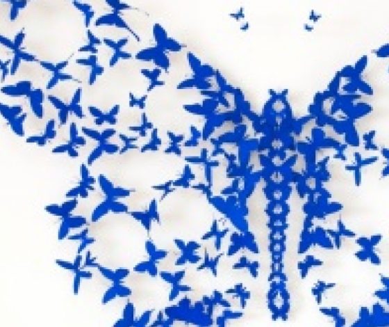 Бабочки как искусство