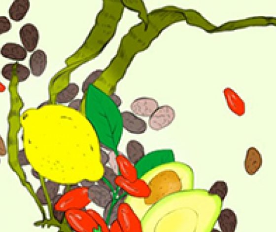 Модные продукты