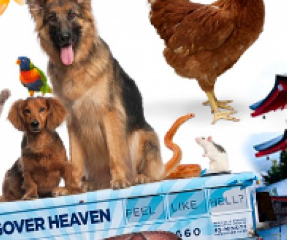 Необычные услуги, за которые люди готовы платить