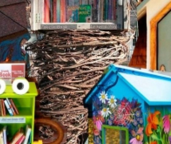 Бесплатные мини-библиотеки по всему миру