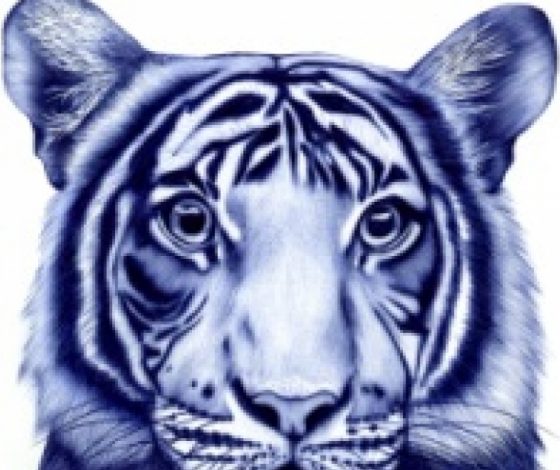 Невероятно реалистичные рисунки шариковой ручкой