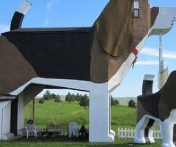 Необычные здания в форме предметов или животных