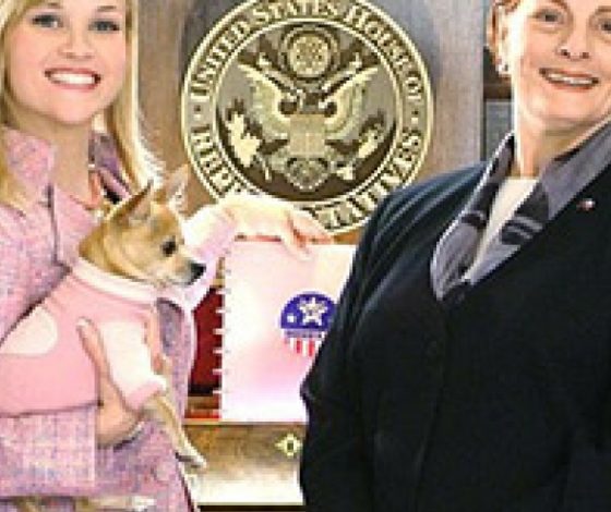 Самые нелепые законы в мире