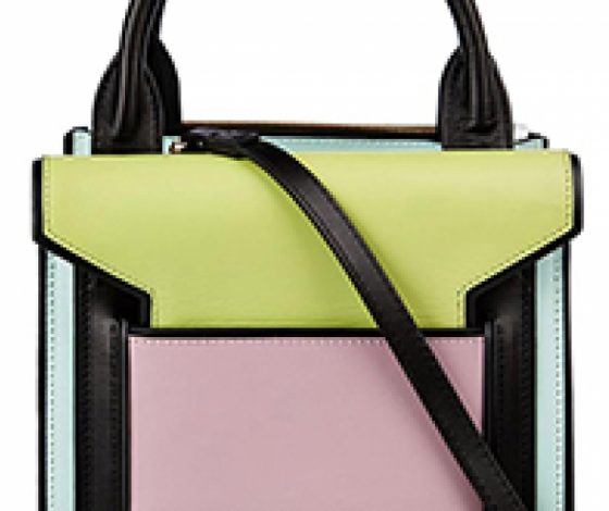 Топ-20 сумок колор-блок