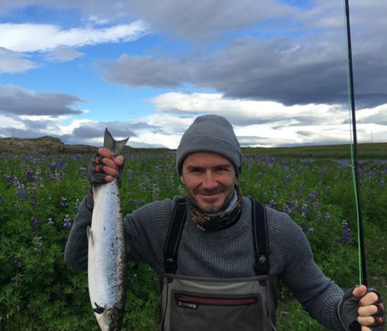 Это не язь, а Дэвид Бекхэм на рыбалке!