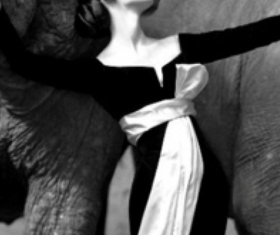 Самые дорогие кадры в истории фотографии