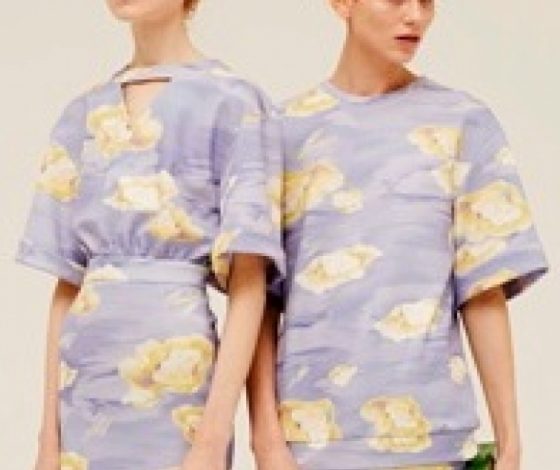 Лукбук Alena Akhmadullina FW 15/16