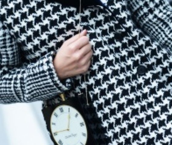 Тренды: гусиная лапка