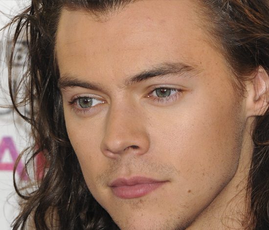 Гарри Стайлс может не вернуться в One Direction