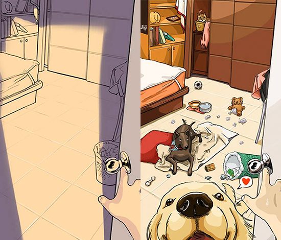 Жизнь до появления собаки и после