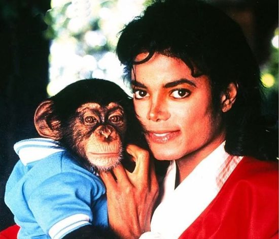 10 самых невероятных питомцев звезд