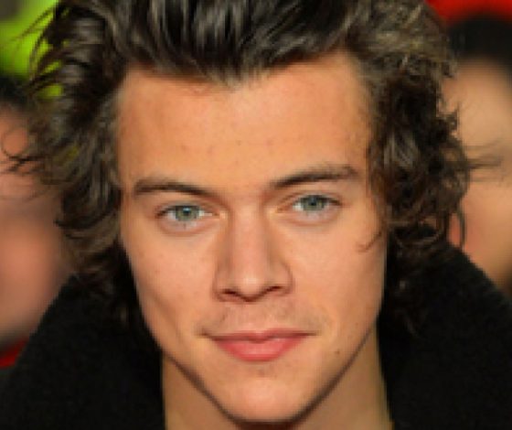 Двухлетний мальчик скопировал стиль Гарри Стайлса