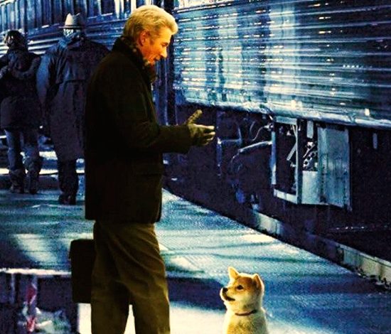 Трогательные фильмы с участием животных. Часть 1