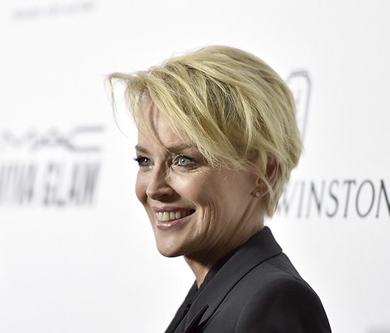 У Шэрон Стоун новый роман?