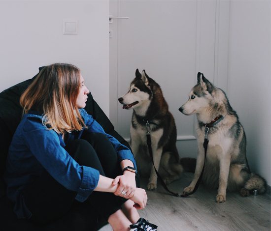 Эксперимент: мы завели хаски... на один день