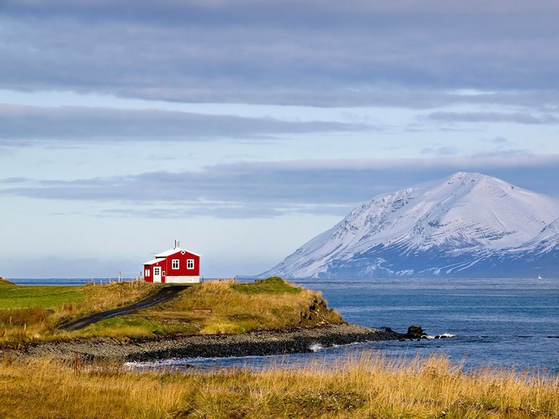 Маленький красный дом. Исландия.