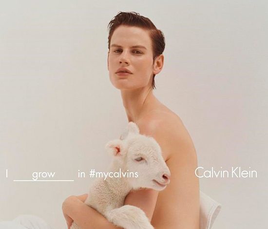Скандальная рекламная кампания Calvin Klein