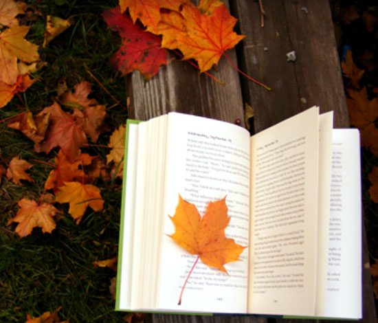 Лучшие книги для осени. Часть 1