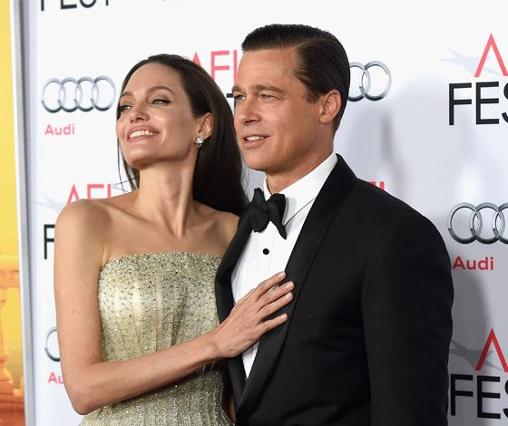 Анджелина Джоли и Брэд Питт не собираются разводиться