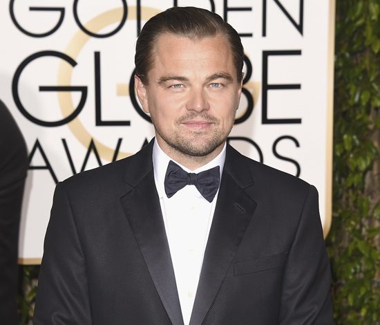 Леонардо ДиКаприо встретился с папой римским