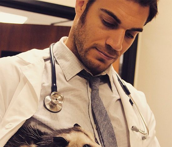 Самый сексуальный ветеринар из Калифорнии