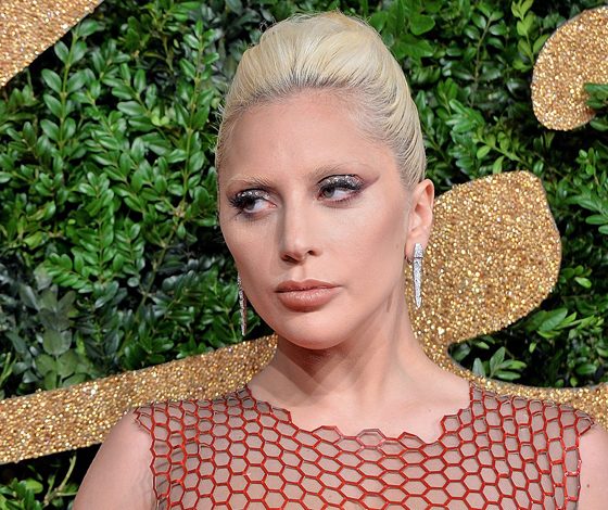 Леди Гага шокировала требованиями в райдере