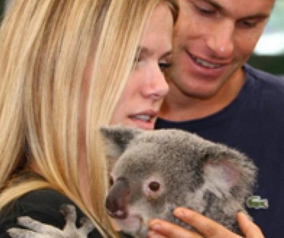 Бруклин Деккер ждет ребенка